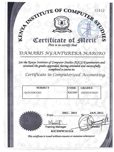 Computerized Accounting Certificate | PDF