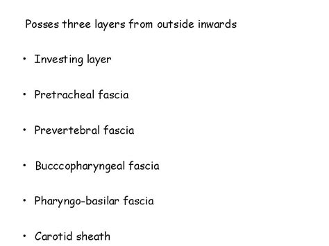 DEEP CERVICAL FASCIA Posses three layers from outside