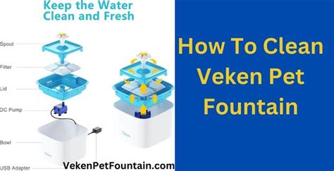 How To Clean Veken Pet Fountain [Complete Guide] 2024