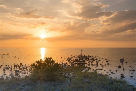 How Climate Change Affects Florida's Waters - Our Climate