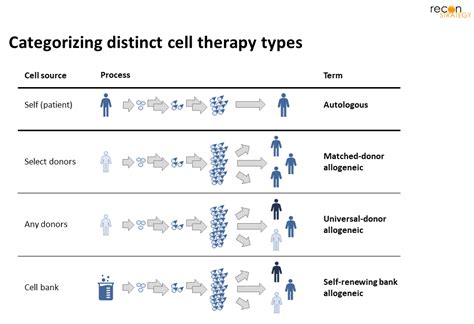 An auto- or allo- future for cell therapy? - Recon Strategy