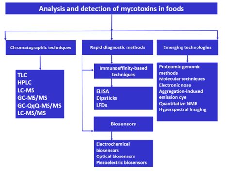 Advances in Analysis and Detection of Major Mycotoxins in Foods