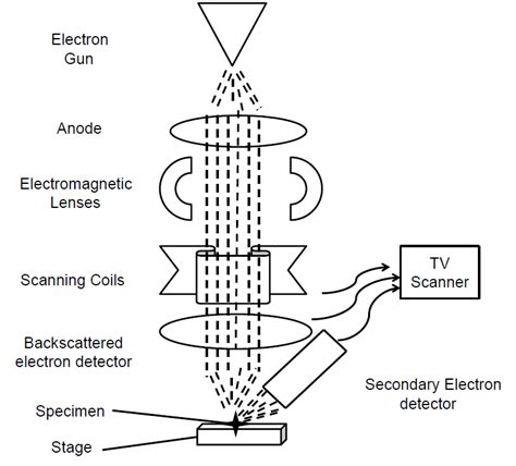 Scanning Electron Microscope Block Diagram