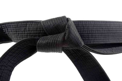 How The Online Karate Belt Test Works Test From Home