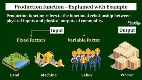 Production Function - Meaning and Types - Tutor's Tips