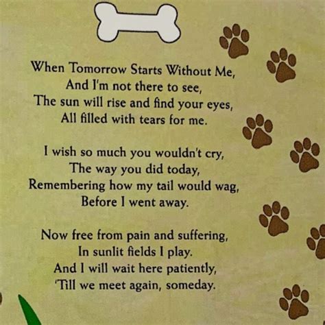 BANBERRY DESIGNS Pet Memorial Picture Frame - When Tomorrow Starts Without Me Loving Poem ...