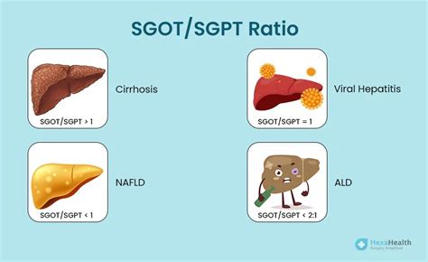 Difference between SGOT and SGPT