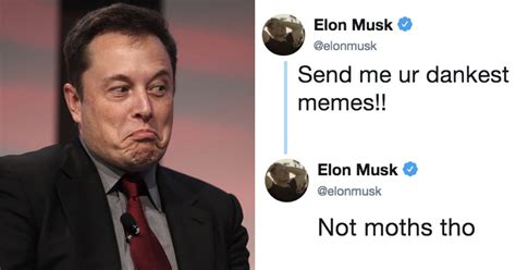 Elon Musk asks Twitter to send him ‘Dank Memes’, it backfires
