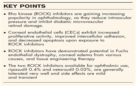 Rho kinase (ROCK) inhibitors in the management of corneal en ...