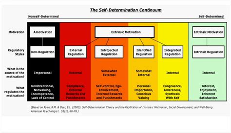 What Is Self Determination Theory? | Human Performance