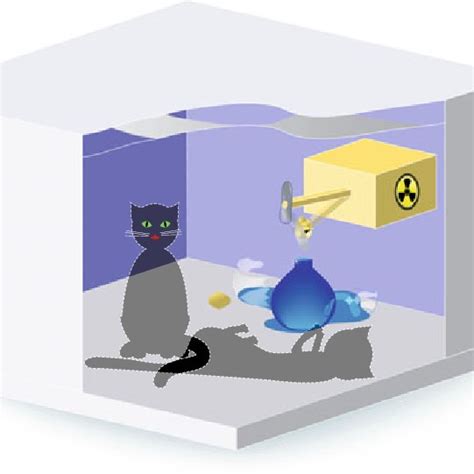 5 Schrödinger's cat paradox in quantum mechanics | Download Scientific ...