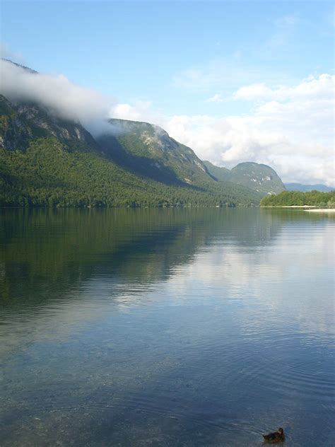 Another great "unzip your tent and enjoy" view - at Bohinjsko Jezero ...