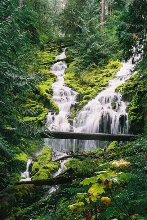 Olo’upena Falls - Molokai, Hawaii | Waterfall, Beautiful waterfalls, Places to visit