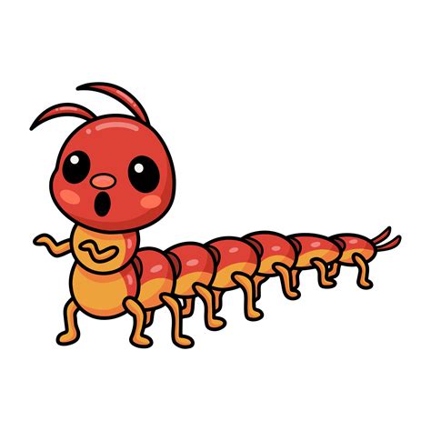 Cute little centipede cartoon character 12750659 Vector Art at Vecteezy