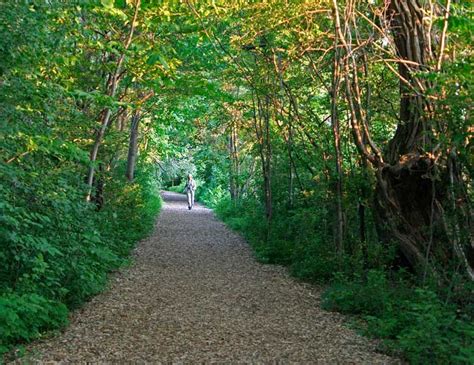 Riverside Park Trail | Park trails, Riverside park, Landscape