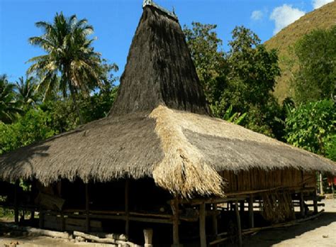 Pariwisata Indonesia: Rumah Musalaki, Tertarik untuk Mengenal Rumah ...