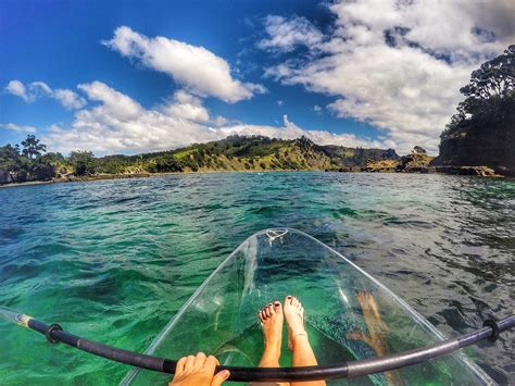 Clearyak kayaking at Goat Island Marine Reserve - Escape to Leigh