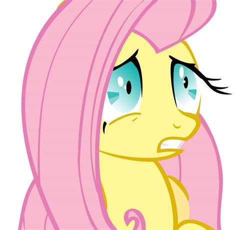 Fluttershy about to scream. by Scotch208 on DeviantArt