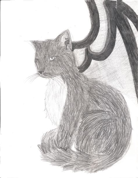 Demon Cat by animedemon77 on DeviantArt