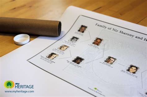 Create a Beautiful Family Tree Chart Online & Print it as a Poster - MyHeritage Blog