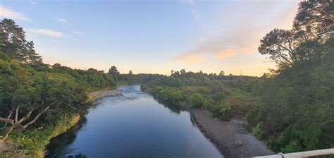 Tongariro River Trail, Waikato - Trails Photo Gallery - Wild Things