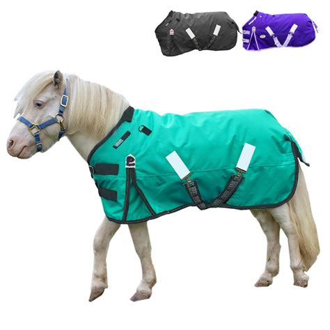 1200D Heavyweight Mini Horse & Pony Winter Turnout Blanket with 2 Year ...