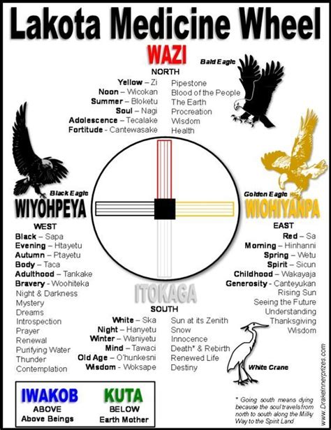 Lakota Medicine Wheel - Drake Bear Stephen Innerprizes | Medicine wheel, Native american ...