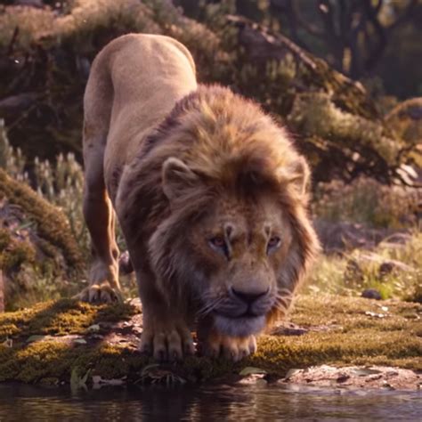 Here's How "The Lion King" Remake Compares Side-By-Side With The Original