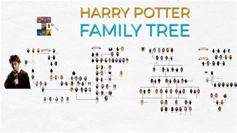 Harry Potter: Family Tree [Wizard World] - YouTube