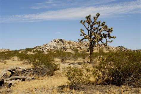 File:Lancaster, California desert.jpg - Wikimedia Commons