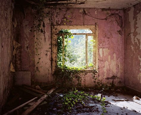 The Eerie Allure of Abandoned Houses | Abandoned houses, Building ...