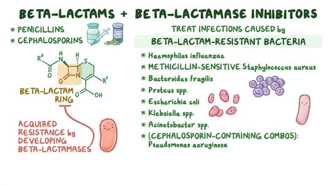 Antibiotics - Beta lactam and beta lactamase inhibitor combinations: Nursing pharmacology: Video ...