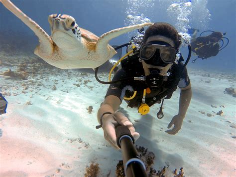 scuba diving vacation packages | Kent Mccormick