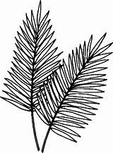 Palm Leaf Coloring Page At GetColoringscom  Free Printable Colorings sketch template