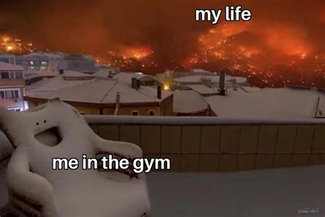 Meme only for gymbro : r/GymMemes