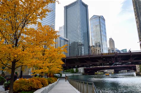 12 Things To Do in Chicago This October