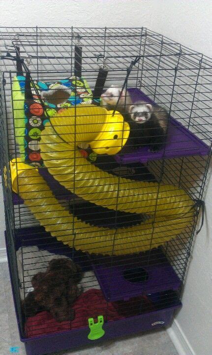 Ferrets...pretty ingenious what this owner did with the play tunnel! | Ferret cage, Ferret toys ...