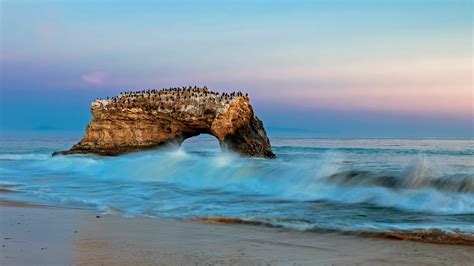 Natural Bridges State Beach – Bing Wallpaper Download