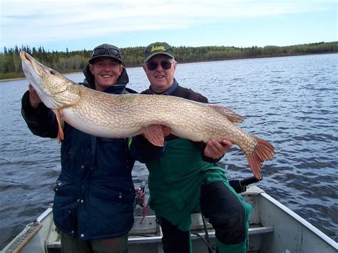 Canada fishing - Other Fish Species - Bass Fishing Forums