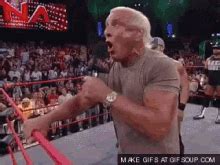 Ric Flair Woo Sound GIFs | Tenor