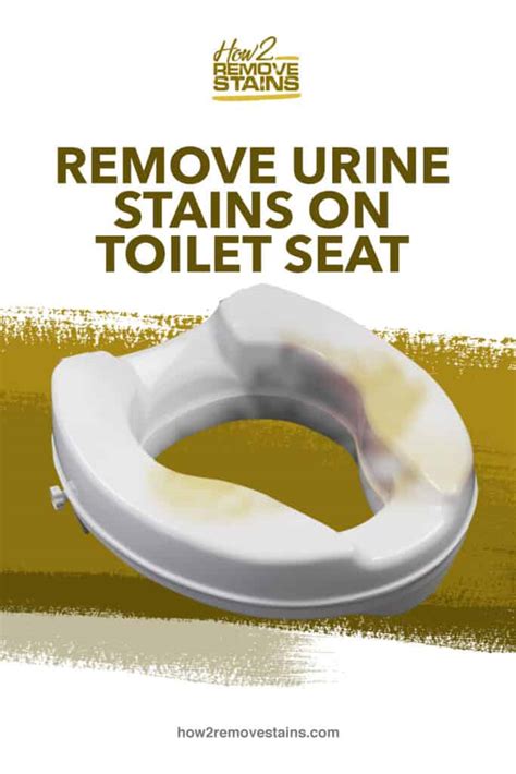 How to remove urine stains on toilet seat [ Detailed Answer ]