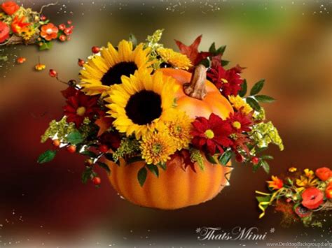 Fall Flowers Wallpapers Celebrate Autumn Fall Pumpkin Flowers Hd ...