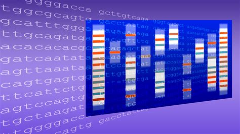 DNA Art