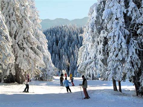 Pamporovo ski resort Bulgaria-the sunniest mountain resort - Where To Go On Holiday.Com