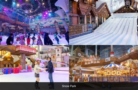 Onemount Snow Park & Water Park Discount Ticket - Trazy, Korea's #1 Travel Shop