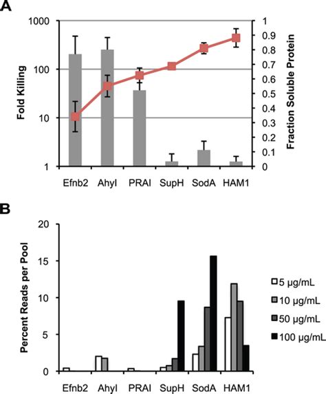 Oligonucleotide synthesis | PLOS ONE