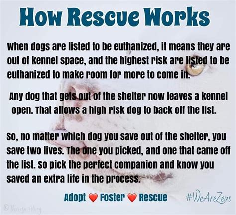 How Rescue Works