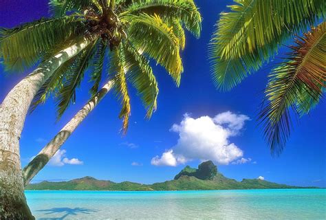 Hawaiian Background Images - Wallpaper Cave