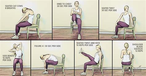 Chair Exercises Low Back Pain