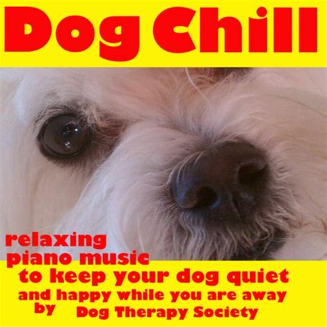 Dog Chill Relaxing Piano Music to Keep Your Dog Quiet and Happy While ...